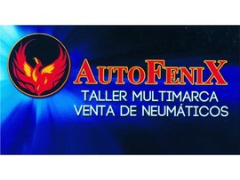 AutoFenix Mecánica Rápida