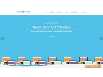Páginas web profesionales en México