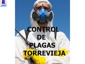 Control de plagas en Torrevieja