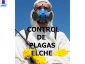 Control de plagas en Elche