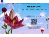 Metatopy - Flores a domicilio