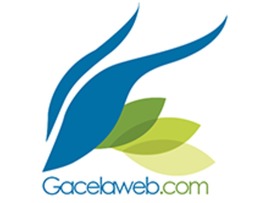 Gacelaweb - Posicionamiento en Buscadores SEO
