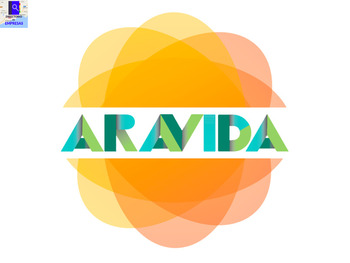 Aravida Consulting
