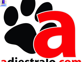 Adiestralo.com | Escuela canina