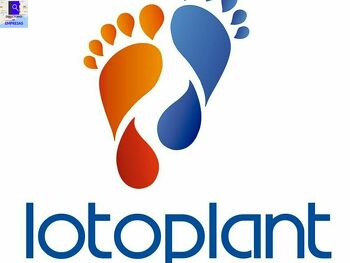 LOTOPLANT, S.L - Fabricantes de plantillas