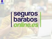 SEGUROS BARATOS ONLINE