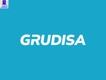 Grudisa