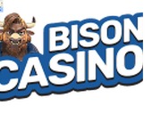 BisonReview