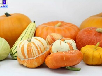La Casa de la Calabaza