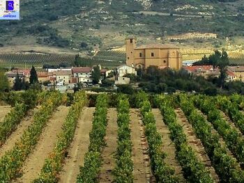 Heredad de Aduna: Bodega de vino tinto, blanco y rioja