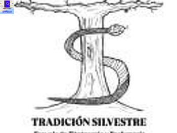 Escuela Tradición Silvestre