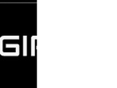 Securgir
