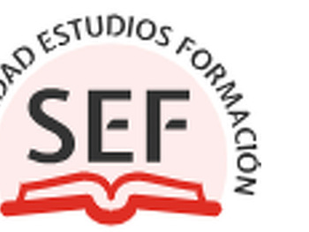 Seguridad Estudios Formación