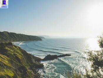 Savage Surf Experiences