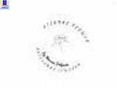 Eternal Flowers By Mónica Delgado