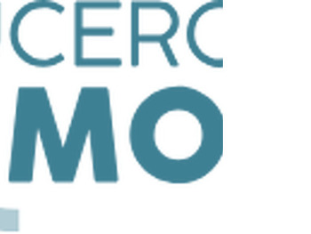 Cruceros Olmos: Cruceros en el Delta Del Ebro