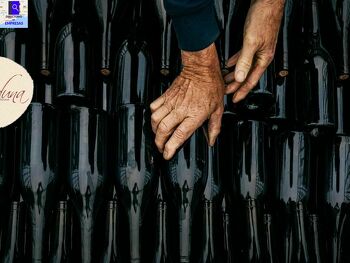 Bodegas Heredad Aduna: Viñedo en La Rioja
